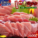 【ふるさと納税】【先行予約】石垣島産 天然本マグロ600g（