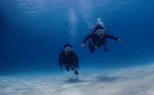 【ふるさと納税】スキューバダイビングライセンス取得講習（Cカード）NAUI f472077-ishigaki-10000878 沖縄県石垣市 サンプル画像3