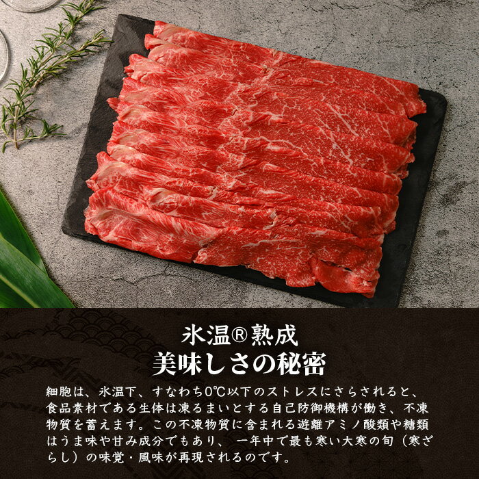 沖縄県石垣市の画像3