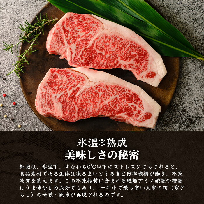 沖縄県石垣市の画像3