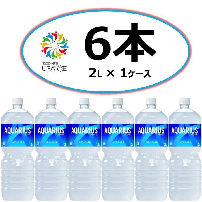 【ふるさと納税】アクエリアス 2L×6本 | アクエリアス アクエリ スポーツ 運動 健康 ペットボトル ケース 飲み物 ドリンク 人気 沖縄 沖縄県 浦添市