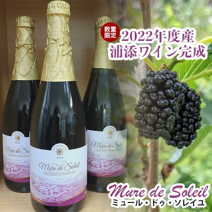 【数量限定】2022年度産 浦添ワイン Mure de Soleil（ミュール・ドゥ・ソレイユ） | 赤ワイン 桑の実 お酒 さけ 食品 人気 おすすめ 送料無料