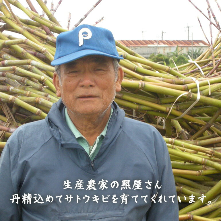 【ふるさと納税】沖縄産黒糖　地釜炊き純黒糖＜180g 5袋セット＞工房直送　詰替え用袋
