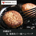 16位! 口コミ数「0件」評価「0」ハンバーグ 沖縄和牛 琉球あぐー豚 720g ( 180g × 4個 ) | 肉 にく お肉 和牛 豚 ぶた あぐー豚 ギフト 贈答 プレゼ･･･ 