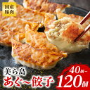 【ふるさと納税】美ら島あぐー餃子 40個〜120個セット 20個入/1パック 絶品 こだわり 豚 肉 国産 ごはん おかず お弁当 冷凍 ぎょうざ ギョウザ 小...