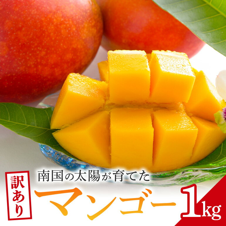 【ふるさと納税】【 先行予約 2025年 発送 】訳ありマンゴー 1kg 沖縄県産 マンゴー 訳あり 1キロ 訳アリ 国産 完熟マンゴー 果物 南国 くだもの フルーツ 完熟 夏 旬 特産品 沖縄 取り寄せ 産地直送 農家直送 甘い 濃厚 糸満市のサムネイル