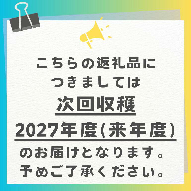 【ふるさと納税】【 先行予約 2027年 発送 】 JA糸満支店で厳選した「 パッションフルーツ 」家庭用 約 1kg 果物 フルーツ くだもの 1キロ 沖縄 果実 南国フルーツ 沖縄県産 美味しい 甘い あまい 甘み 酸味 爽やか 産地直送 農家直送 産直 沖縄県 糸満市 送料無料 f472107-itoman-10000782 沖縄県糸満市 サンプル画像2