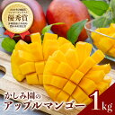 【ふるさと納税】【 先行予約 2025年 発送 】 優秀賞受賞のかしみ園 アップルマンゴー 1kg 沖縄県産 マンゴー アーウィンマンゴー 1キロ 国産 完熟マ...