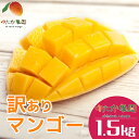 【ふるさと納税】【先行予約 2026年 発送】ゆたか農園 産地直送 沖縄県産 訳あり マンゴー 1.5kg 完熟 訳アリ アップルマンゴー アーウィンマンゴー ...