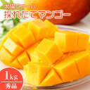 【ふるさと納税】【 先行予約 2026年 発送 】太陽ファームの採れたて マンゴー 1kg ( 秀品 ) 沖縄県産 マンゴー アップルマンゴー アーウィンマンゴー 1キロ 国産 完熟マンゴー 果物 くだもの フルーツ 完熟 夏 沖縄 お取り寄せ ギフト 産地直送 農家直送 糸満市 送料無料