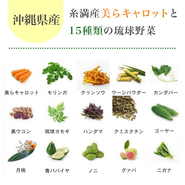 【ふるさと納税】沖縄県産!琉球野菜を15種類使ったワイズ農園の青汁60包