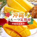 【ふるさと納税】 【定期便全2回】沖縄 フルーツ 定期便 2回 スナックパイン パイン マンゴー フルーツ定期便 果物 パイナップル 沖縄マンゴー 完熟マンゴー...