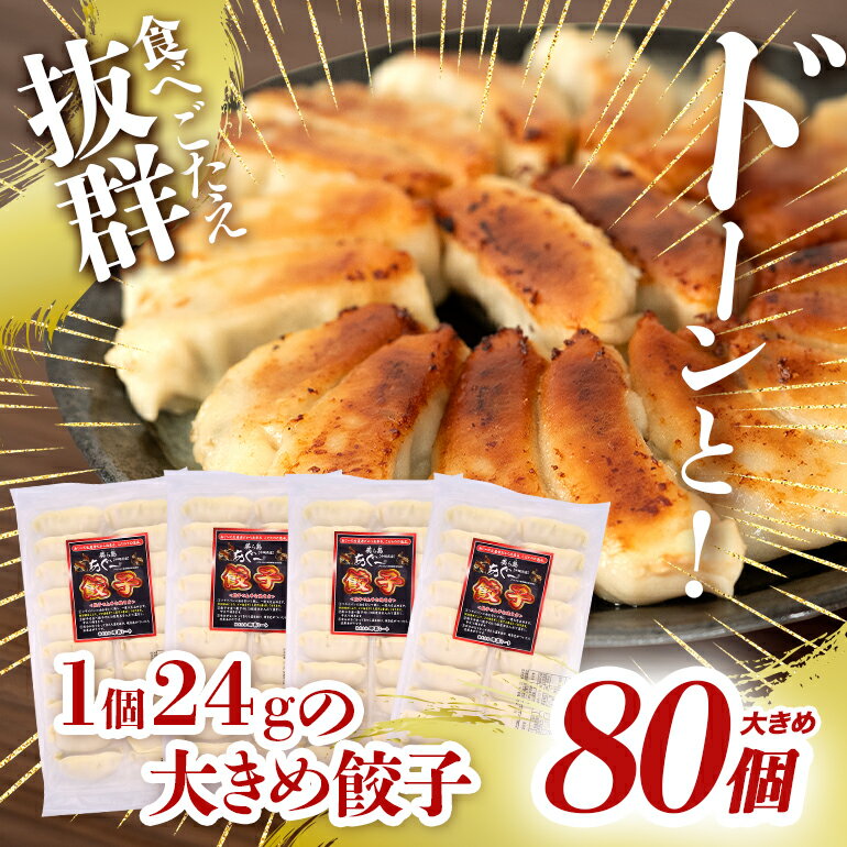 【ふるさと納税】美ら島あぐー餃子 80 個セット(20個入×4パック) 絶品 こだわり 豚 肉 国産 ごはん のトッピング 送料無料 おかず お弁当 冷凍 食品 ぎょうざ ギョウザ お歳暮 簡易包装 小分け お手軽 簡単調理 にんにく 有名 キャンプ BBQ アウトドア 1万円 10000円