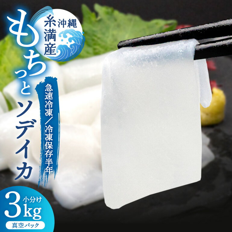 【ふるさと納税】モチっとした新食感!ソデイカ(セーイカ)約3kg