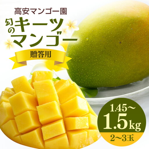【ふるさと納税】高安キーツマンゴー園 キーツマンゴー 1.45-1.5kg(贈答用) 【ふるさと納税】高安キーツマンゴー園 キーツマンゴー 1.45-1.5kg(贈答用)