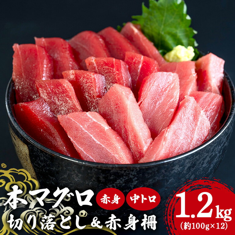 マグロ切り落とし&赤身柵セット 1.2kg (約100g×12p) 赤身600g 中トロ200g 赤身柵400g まぐろ 柵 旬 鮪 鮮度抜群 魚種 切り落とし 赤身 高たんぱく 低カロリー 真空 冷凍 刺身 家庭用 小分け 沖縄 糸満市 37000円
