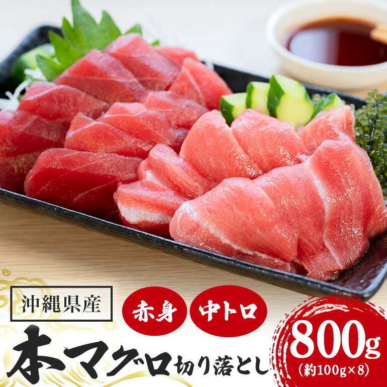 マグロ切り落としセット 800g (約100g×8p) 赤身600g 中トロ200g まぐろ 旬 鮪 鮮度抜群 魚種 切り落とし 赤身 中トロ 高たんぱく 低カロリー 真空 冷凍 刺身 家庭用 小分け 沖縄 糸満市 20000円