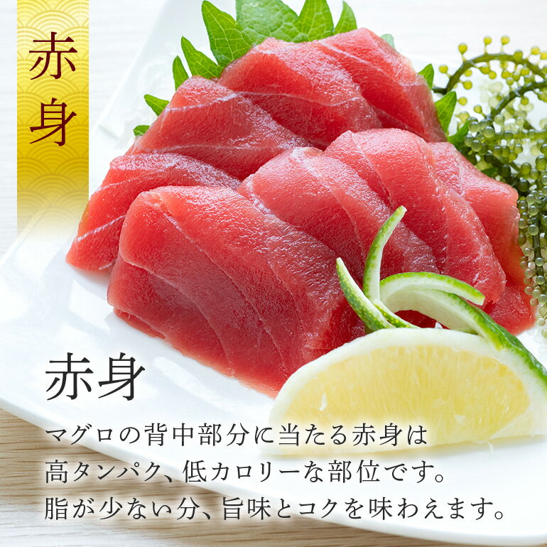 サンプル画像2