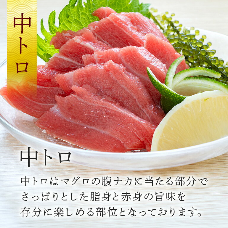 サンプル画像3