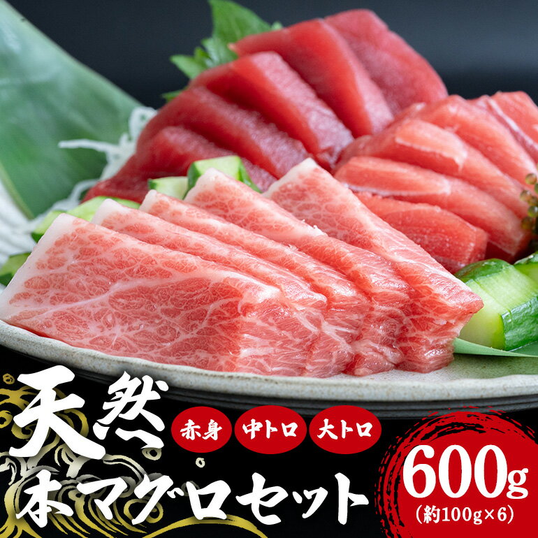 【ふるさと納税】天然本マグロセット 600g (約100g×