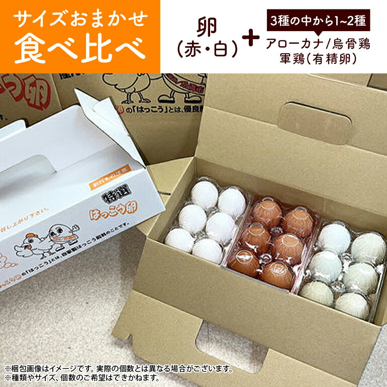 【ふるさと納税】訳あり はっこう卵 3～4種 おまかせ 食べ比べ 15個 + 破卵保障3個 卵 種類 サイズ おまかせ 訳アリ 3種 4種 白卵 赤卵 青卵 烏骨鶏 有精卵 軍鶏 アローカナ たまご タマゴ 食比べ 生卵 味卵 煮卵 目玉焼き ゆで卵 キッシュ 沖縄 糸満市 上原養鶏場 8000円