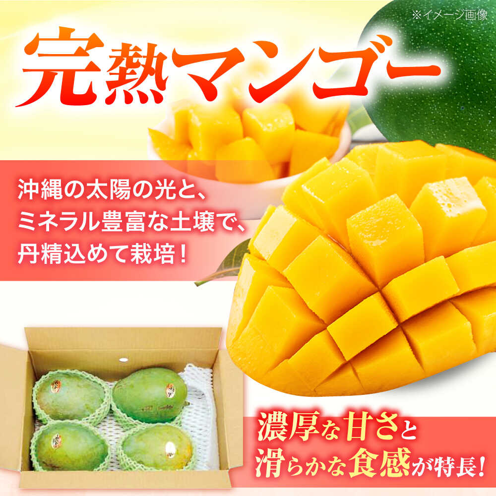 【2026年発送・数量限定】 【訳あり】 沖縄県産キーツマンゴー 約2kg (2～5玉) マンゴー 沖縄 果物 フルーツ ギフト 沖縄市 / ちゃんぷる～市場 [BCAA005]