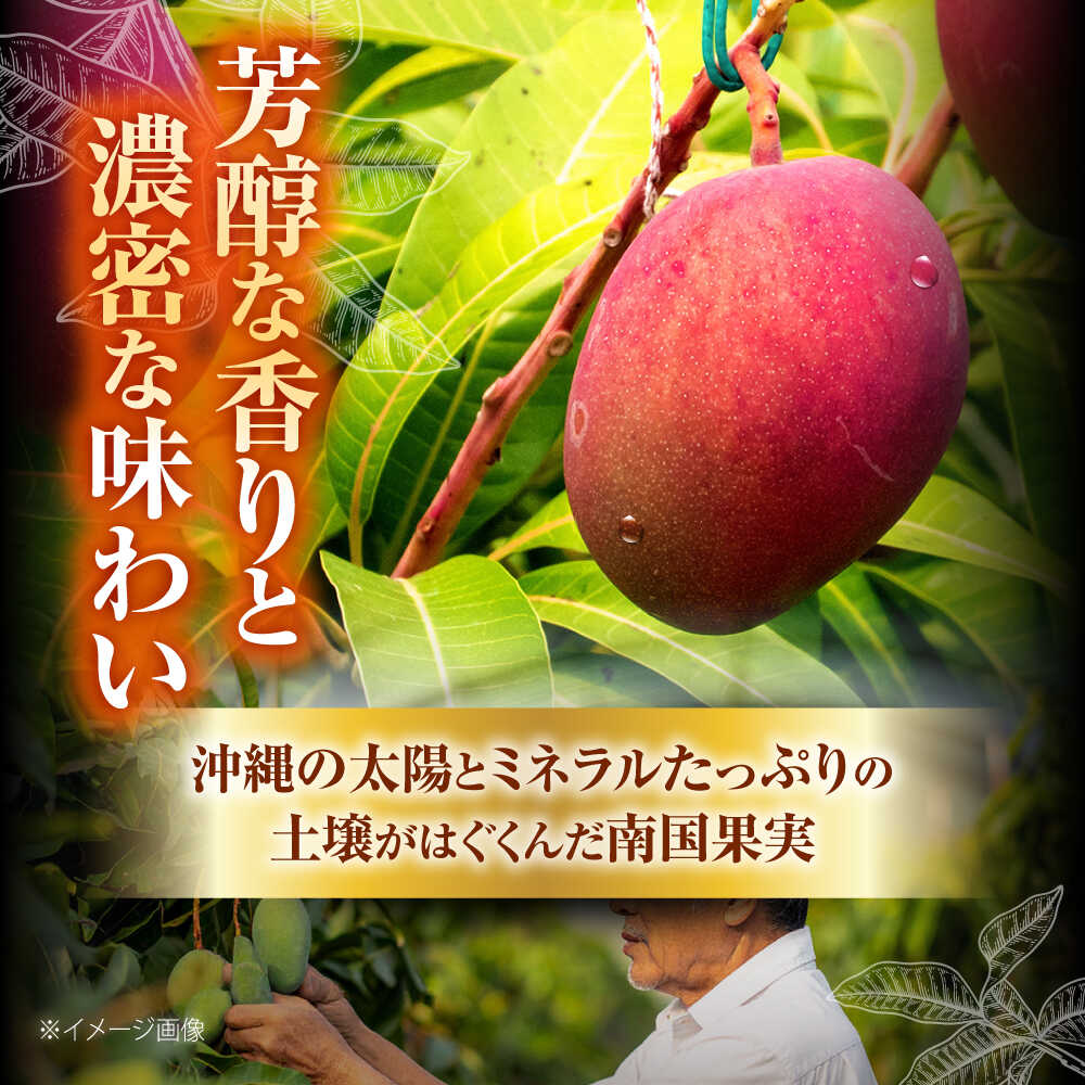 【ふるさと納税】【2026年発送】 訳あり 完熟マンゴー 約4kg マンゴー 沖縄 果物 フルーツ ギフト 沖縄市 / ちゃんぷる〜市場 [BCAA007]