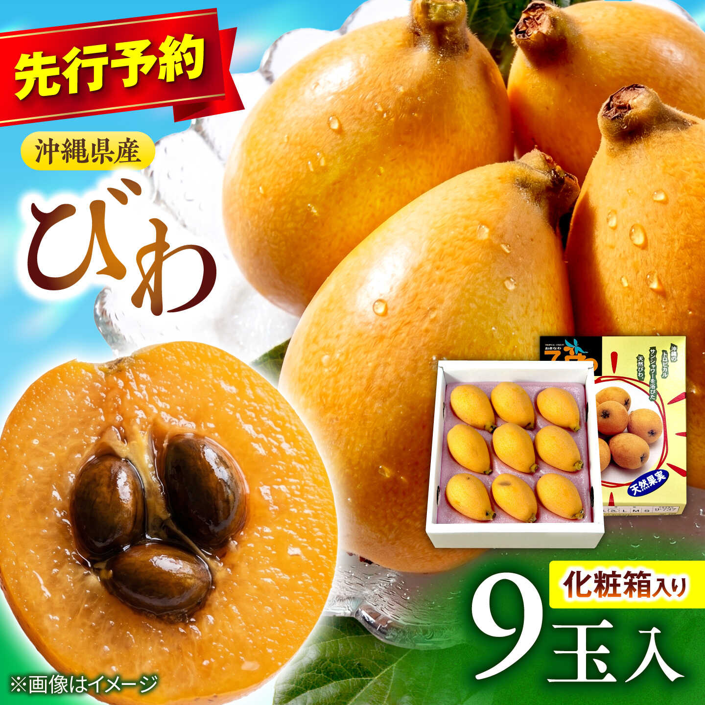 【2027年発送・先行受付】 【化粧箱入り】 沖縄産びわ (500g・9玉入り) フルーツ 果物 ギフト お取り寄せ 沖縄産 沖縄市 / ちゃんぷる〜市場[BCAA008]