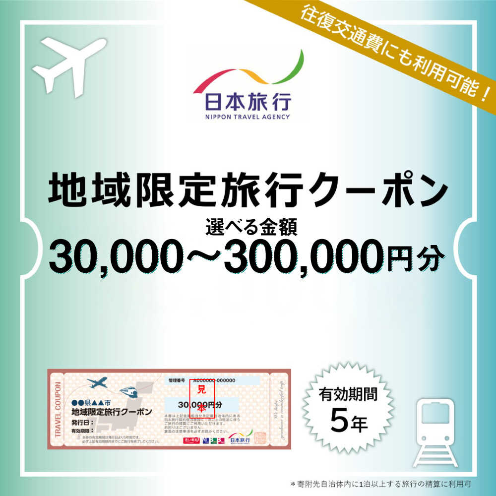 【ふるさと納税】沖縄県沖縄市 日本旅行 地域限定旅行クーポン (1万5千円~30万円分) 旅行券 チケット 宿泊券 プレゼント ギフト 沖縄市 / 株式会社日本旅行