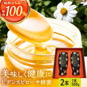 【ふるさと納税】コハマのハチミツ ビデンスピローサ蜂蜜 500g×2本 蜂蜜 はちみつ ハチミツ 国産 ギフト 沖縄市 / 農業生産法人株式会社小浜養蜂場 [B...