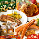 【ふるさと納税】『NUCHIBUTA Aセット』 豚肉 ハンバーグ ソーセージ 詰め合わせ お取り寄せ 国産 ギフト 冷凍 沖縄市 / DELICATESSEN...