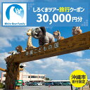【ふるさと納税】【沖縄市】しろくまツアーで利用可能なWEB旅行クーポン (3万円分) 沖縄旅行 観光 ツアー トラベルクーポン 電子クーポン 30000円 沖縄...