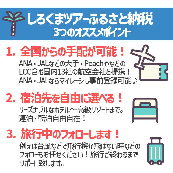 【ふるさと納税】【沖縄市】しろくまツアーで利用可能なWEB旅行クーポン (6万円分) 沖縄旅行 観光 ツアー トラベルクーポン 電子クーポン 60000円 沖縄市 / 株式会社ホワイト・ベアーファミリー [BCAV005] f472115-okinawa-10000951 沖縄県沖縄市 サンプル画像3