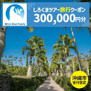 【ふるさと納税】【沖縄市】しろくまツアーで利用可能なWEB旅行クーポン (30万円分) 沖縄旅行 観光 ツアー トラベルクーポン 電子クーポン 300000円 ...