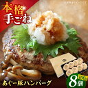 【ふるさと納税】沖縄県産 あぐー豚 ハンバーグセット 800g (100g×8個) 豚 ハンバーグ 冷凍 ギフト お取り寄せ 沖縄市 / お肉屋本店 [BCAZ...