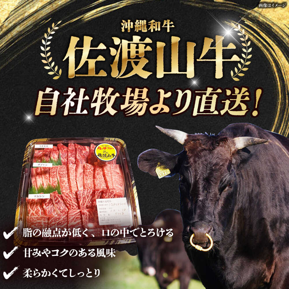 サンプル画像2
