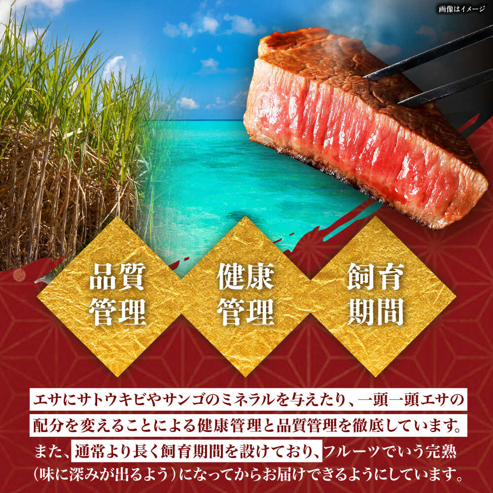 サンプル画像3