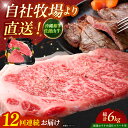 【ふるさと納税】【全12回定期便】【厳選!おすすめ部位】沖縄和牛 佐渡山牛 ステーキ肉 500g ステーキ 牛肉 和牛 焼肉 赤身 沖縄市 / 肉のサブロー [...