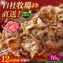 【ふるさと納税】【全12回定期便】【厳選!おすすめ部位】沖縄和牛 佐渡山牛 切り落とし 500g 牛肉 焼肉 焼き肉 和牛 赤身 沖縄市 / 肉のサブロー [B...