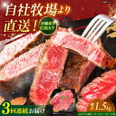 【ふるさと納税】【全3回定期便】【数量限定】沖縄和牛 佐渡山牛 サーロイン&希少部位 ステーキ肉 500g 牛肉 和牛 サーロインステーキ 焼肉 赤身 沖縄市 ...