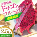 【ふるさと納税】農家直送!南国の果物 ドラゴンフルーツ 2.5kg 火龍果 果物 フルーツ デザート お取り寄せ 沖縄市 / タカエス フルーツ&ベジタブル [...