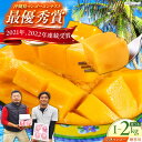 【ふるさと納税】【贈答用】仲村農園の完熟アップルマンゴー (1kg or 2kg) マンゴー 沖縄 果物 フルーツ ギフト 沖縄市 / 仲村農園