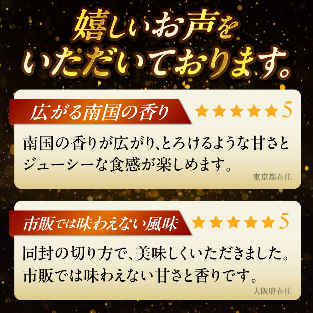 【ふるさと納税】【先行予約 2026年発送 予約受付】【訳あり】仲村農園の完熟アップルマンゴー (1kg or 2kg) マンゴー 沖縄 果物 フルーツ ギフト 沖縄市 / 仲村農園