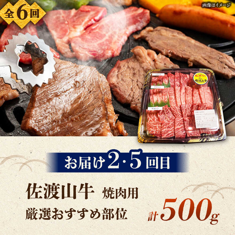 【ふるさと納税】【全6回定期便】沖縄ブランド牛を堪能！贅沢お肉定期便【沖縄市】牛肉 和牛 サーロインステーキ 焼肉 赤身 沖縄市 / 肉のサブロー / お肉屋本店[BCZZ028] f472115-okinawa-10001430 沖縄県沖縄市 サンプル画像3