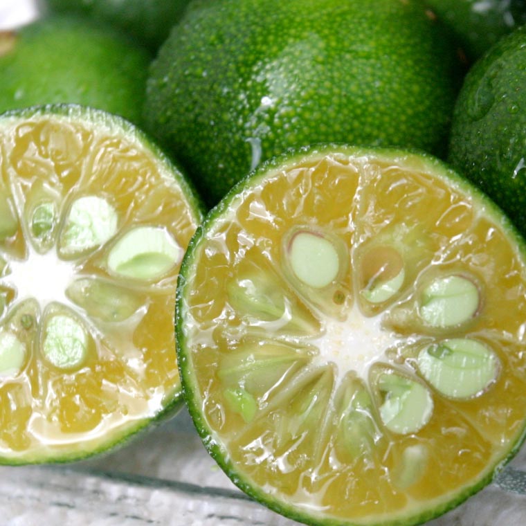 沖縄県豊見城市の画像3