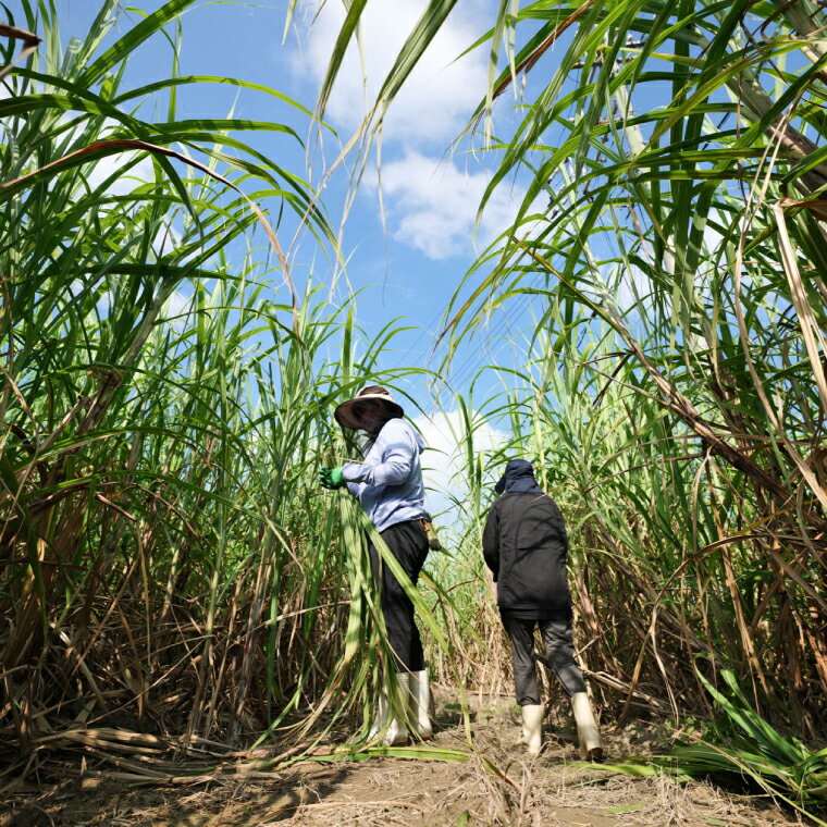 沖縄県豊見城市の画像3