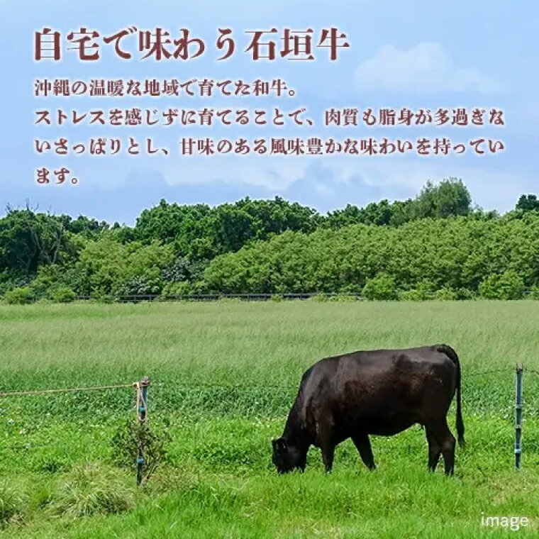 沖縄県豊見城市の画像3