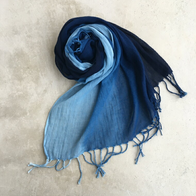 【ふるさと納税】藍染体験　木綿ショールまたは木綿エコバックコース（BT002） 3