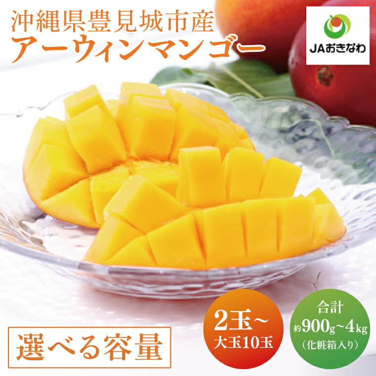 [選べる内容量] ≪ アーウィンマンゴー ≫ 数量限定 ※2025年6月より順次発送します。 沖縄県産 豊見城市 大容量 マンゴー アップルマンゴー アーウィン フルーツ 完熟 果物 くだもの おきなわ 先行予約 ギフト 贈答 贈り物 プレゼント 送料無料