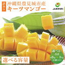 【ふるさと納税】【2025年発送・訳あり】【選べる内容量】 キーツマンゴー (白箱) ≫ 数量限定 沖縄県産 豊見城市 大容量 マンゴー キーツ フルーツ JA...